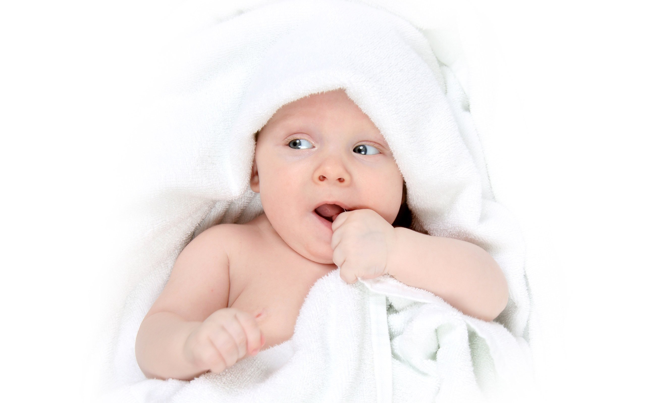 长春捐卵代怀试管婴儿着床成功率